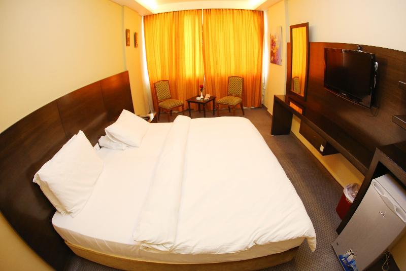 Hotel Le Marly